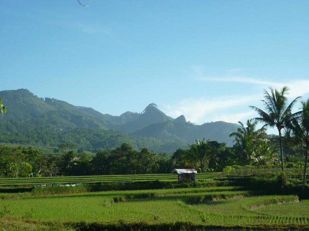 Villa Sumbing Indah Magelang Exterior photo