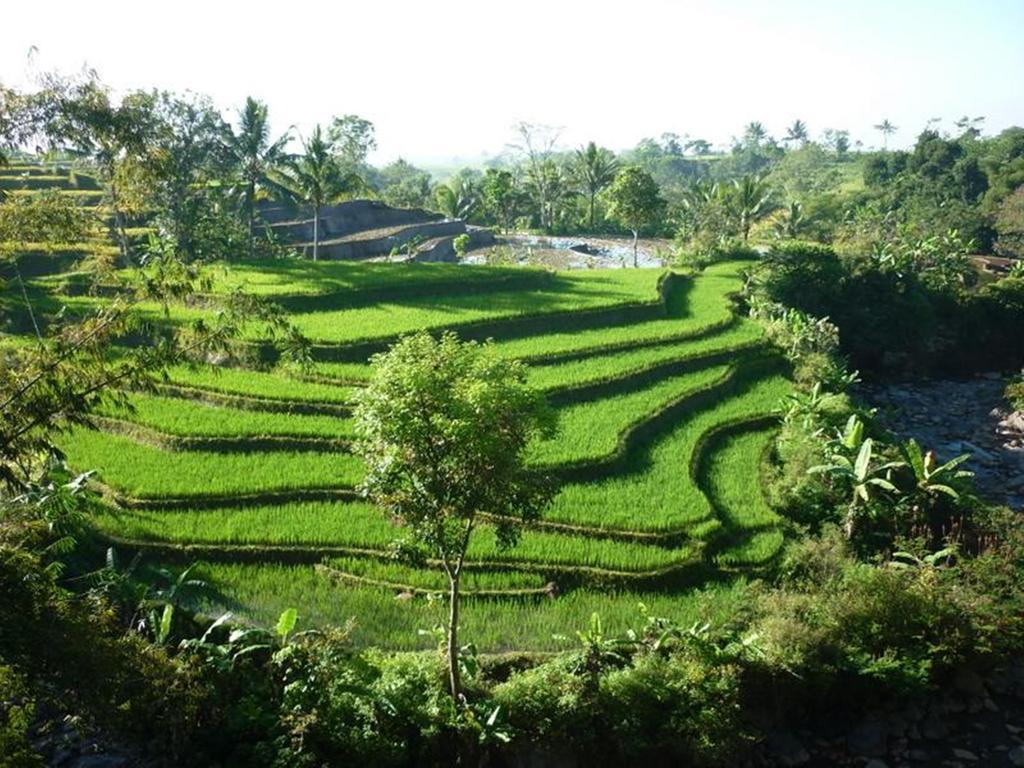 Villa Sumbing Indah Magelang Exterior photo